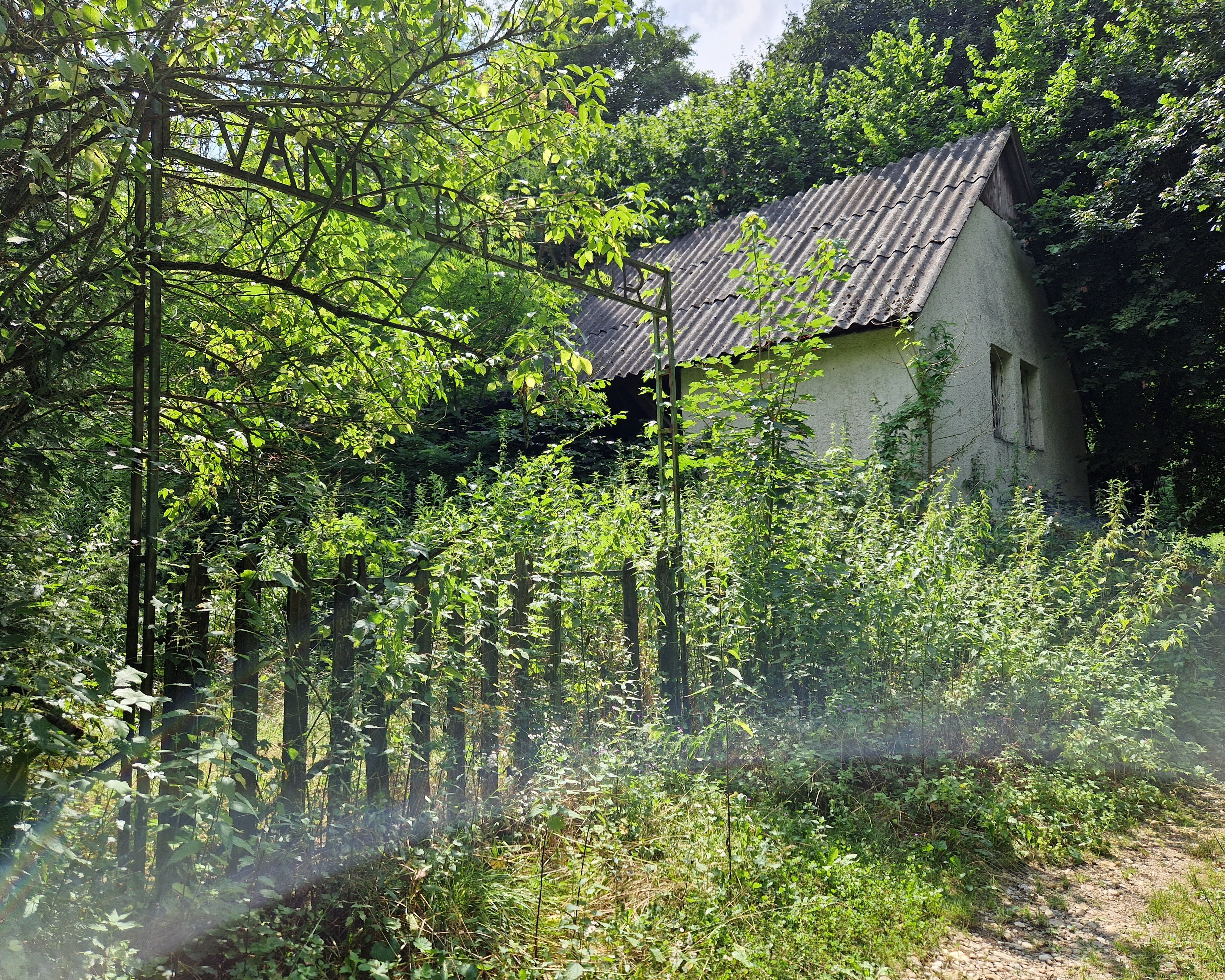 20230722_142657.jpg