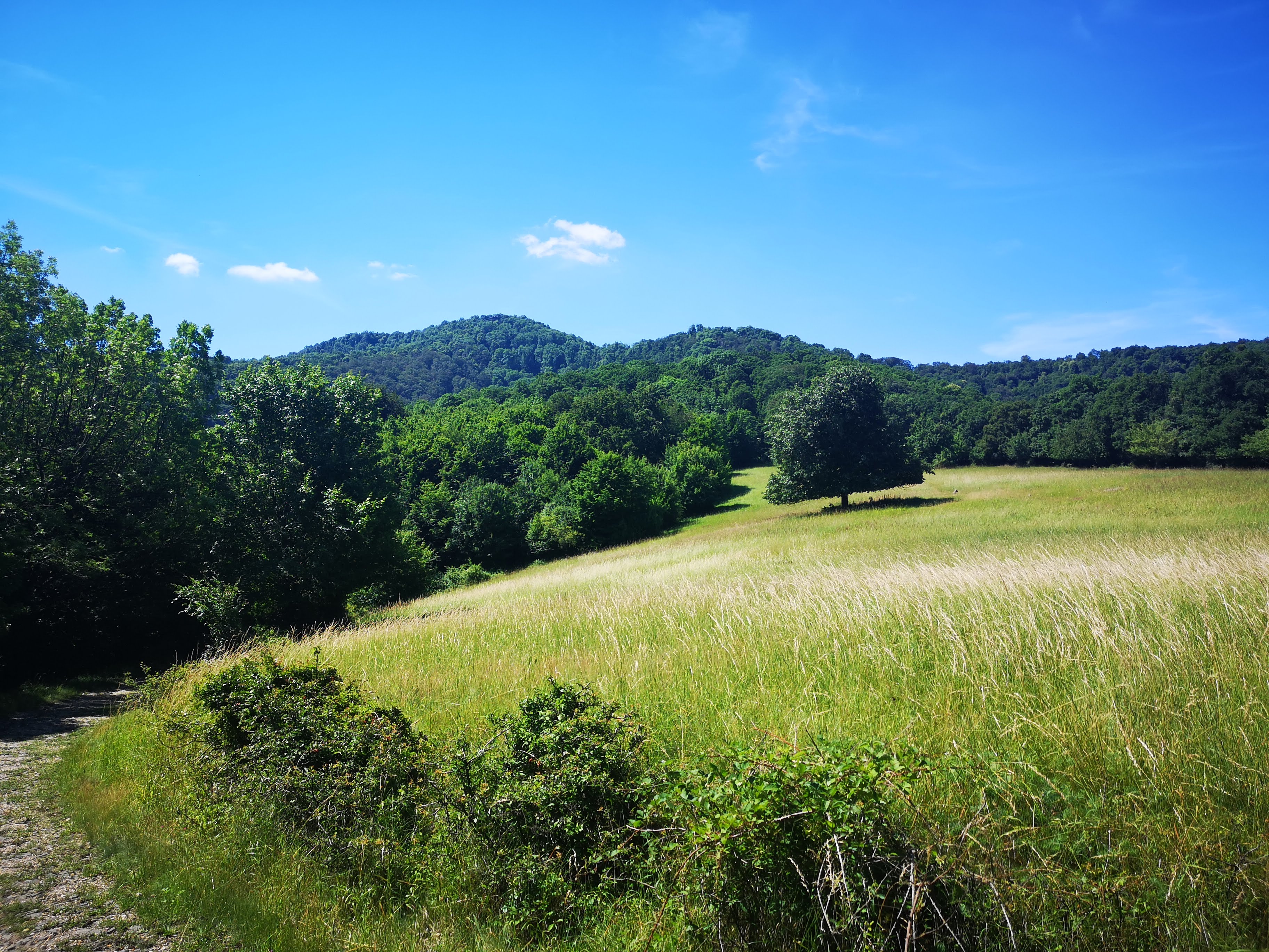 img_20220618_104735.jpg