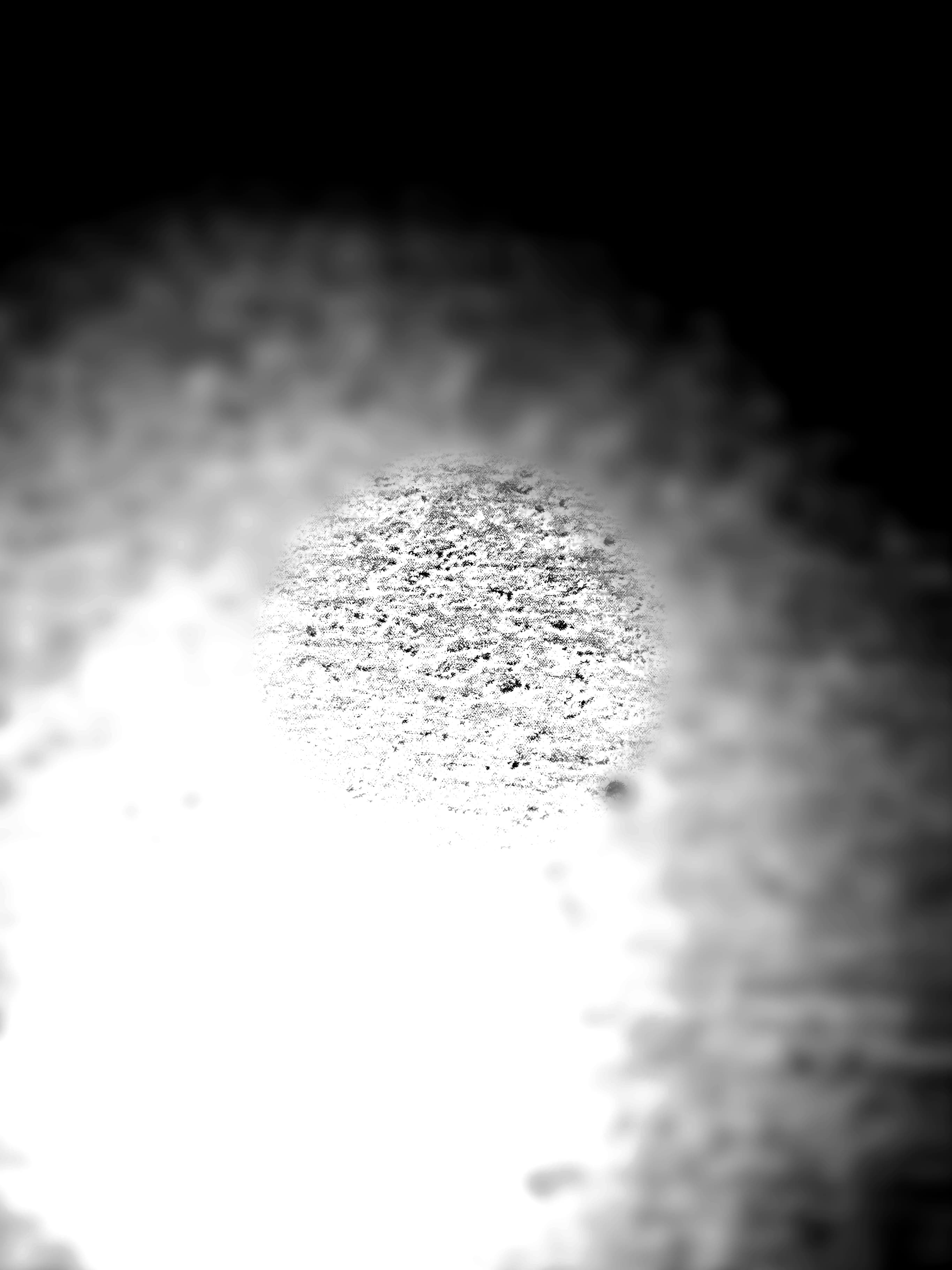 103706765_286568739202298_2696298399507959323_n.jpg