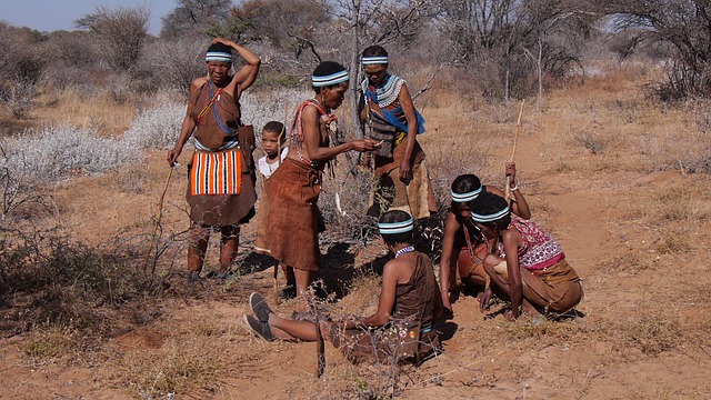 botswana-2219384_640.jpg