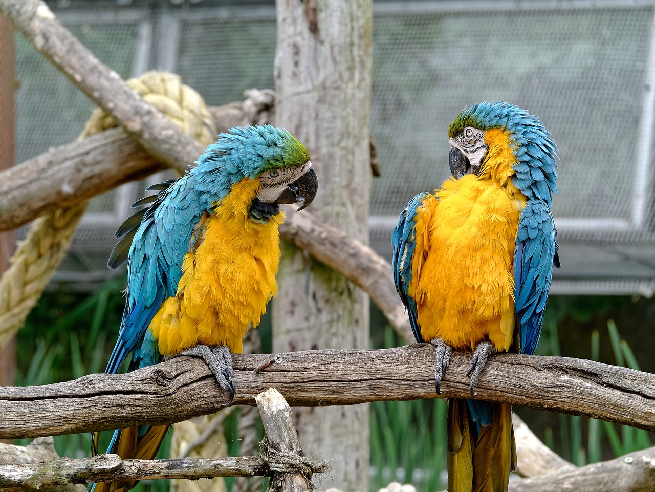 conversation-2302064_1280.jpg