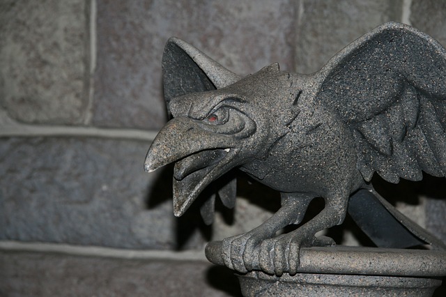 crow-557900_640.jpg