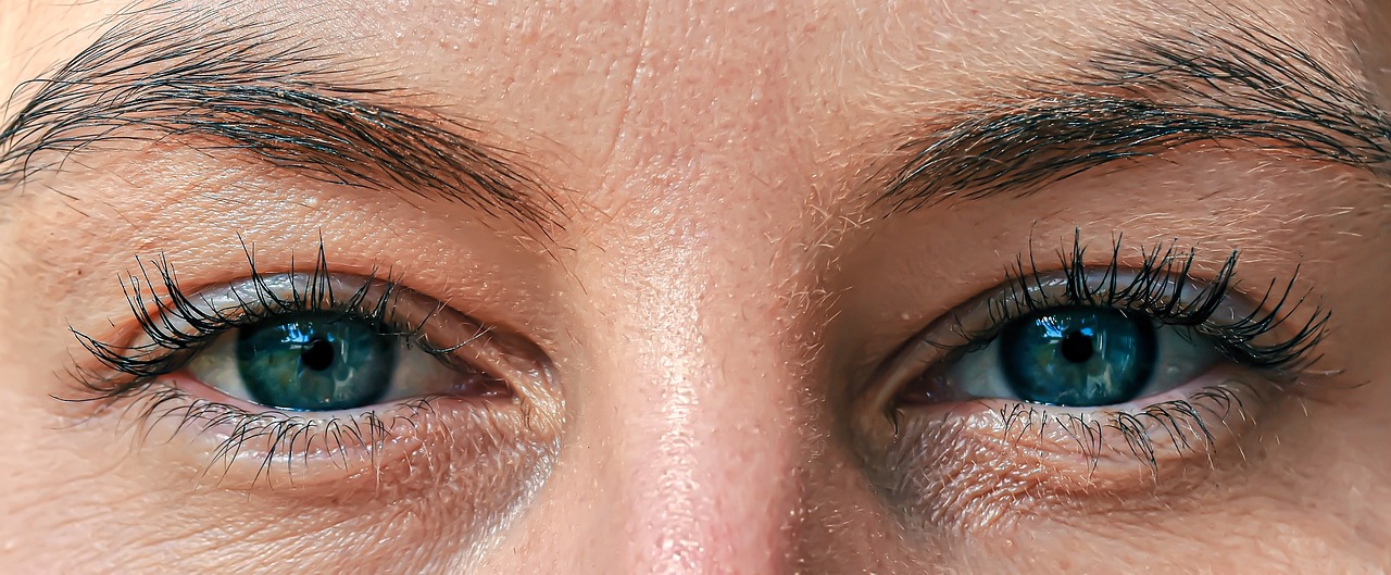 eyes-4556460_1280.jpg