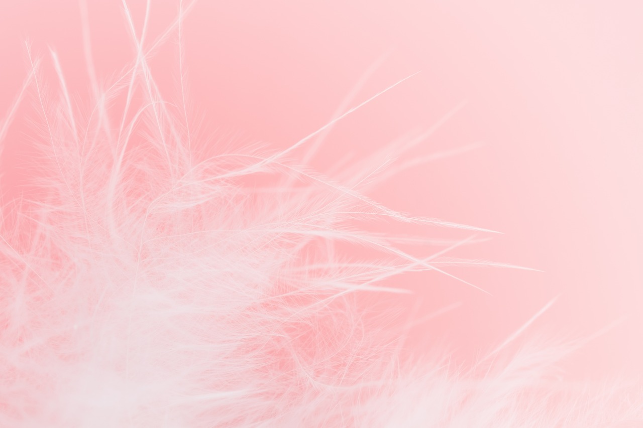 feather-3181186_1280.jpg