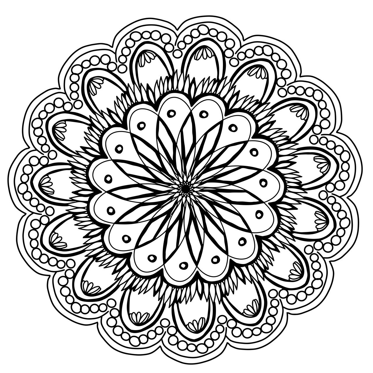 flowers-2147877_1280.jpg