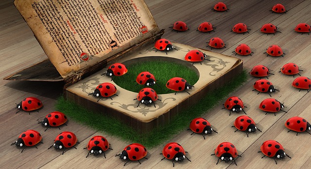 ladybug-2027690_640.jpg