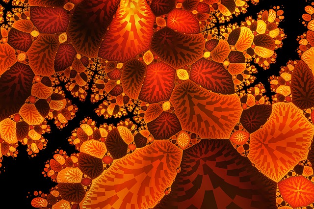 leaf-3175044_640.jpg