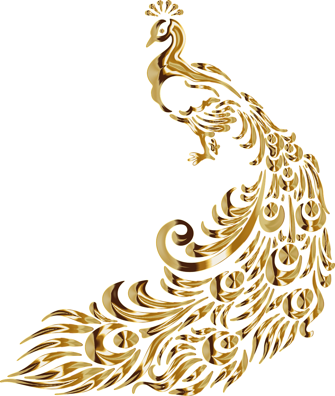 peacock-g0784b4c5c_1280_1.png