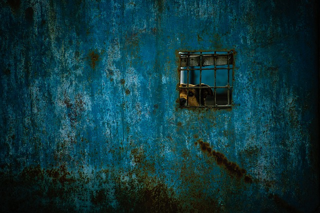 prison-4214552_640.jpg