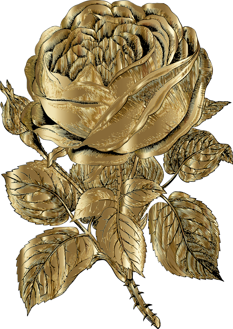rose-7136838_1280.png