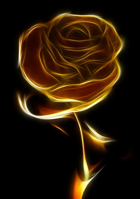 rose-81828_640.jpg