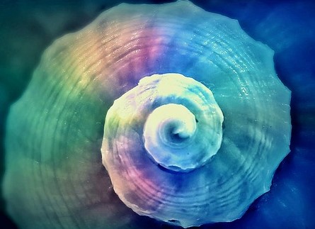 snail-822610_640.jpg
