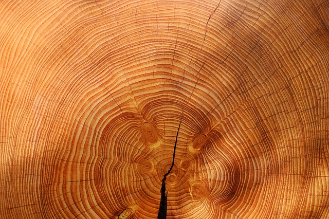 wood-3212803_640.jpg