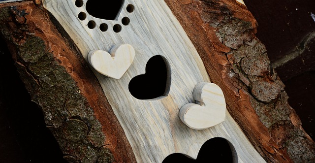 wood-3333863_640.jpg
