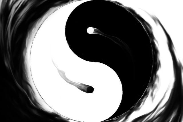 yin-yang-4527023_640.jpg