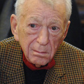 Dargay Attila (1926-2009)