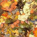 Az illatos szárazvirág- potpourri házilag