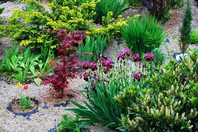 1887751-beautiful-rock-garden-in-the-yard-with-different-plants.jpg