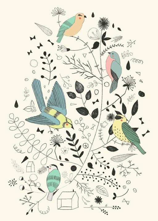 bird-illustration-studio-meez-001.jpg