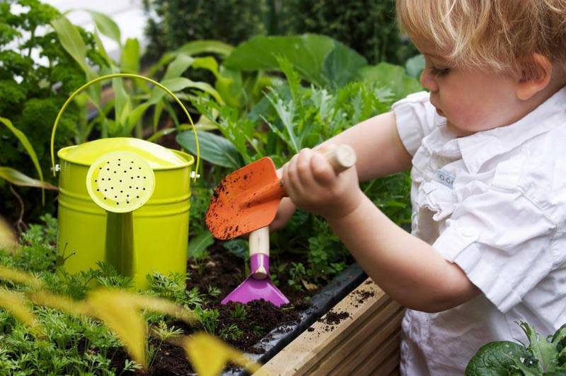 garden-ideas-for-kids-5.jpg