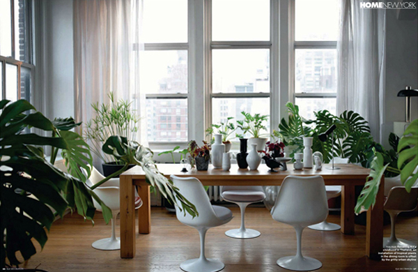 2 asztal növényekkel.jpg