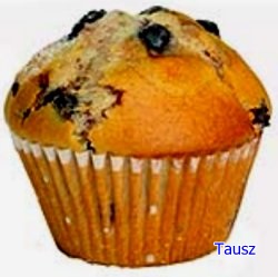 muffin15.jpg