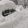 Ausztria: van, ahol 3 méteres hó esett, kidőlt fa zuhant egy gyorsvonatra