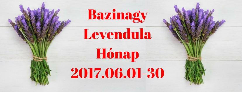 bazinagy_levendula_honap_fb_header.jpg