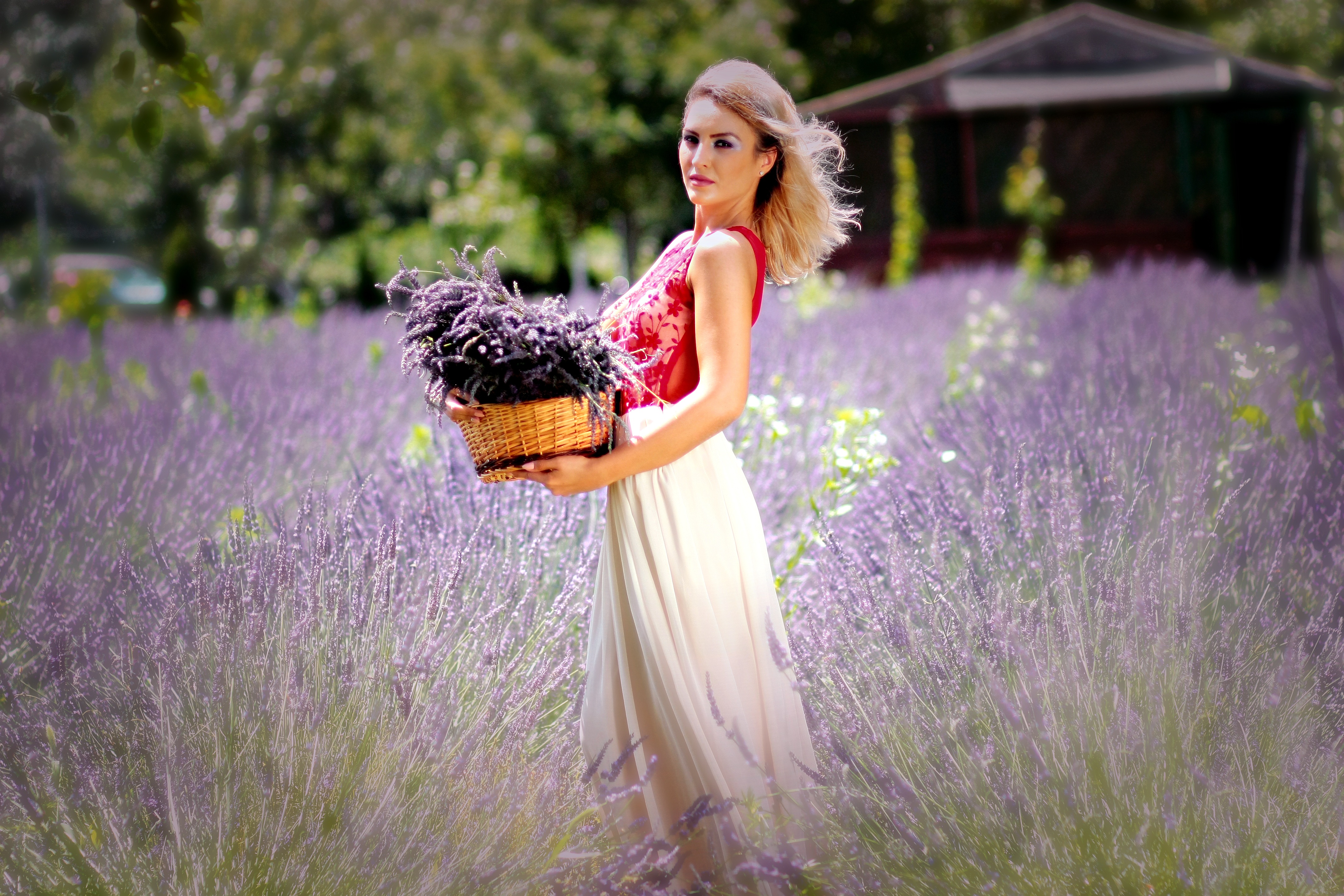 girl-1467479.jpg