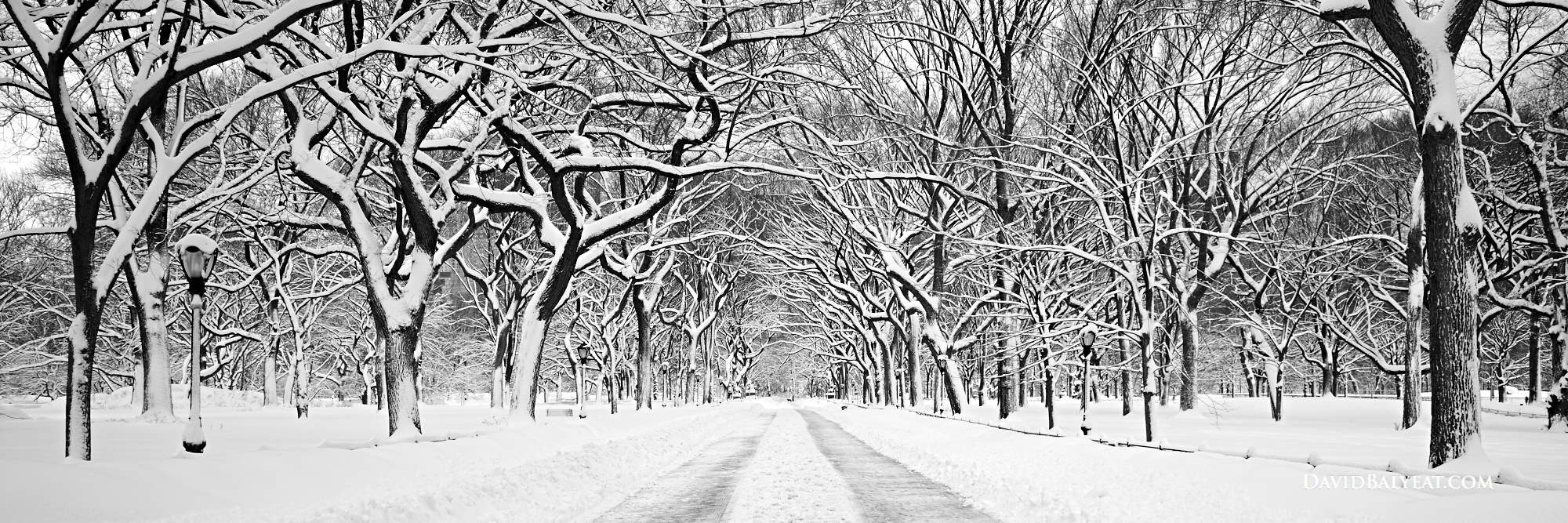 central-park-snow-literary-walk-mall-black-and-white-panoramic-high-definition-hd-professional-photography.jpg