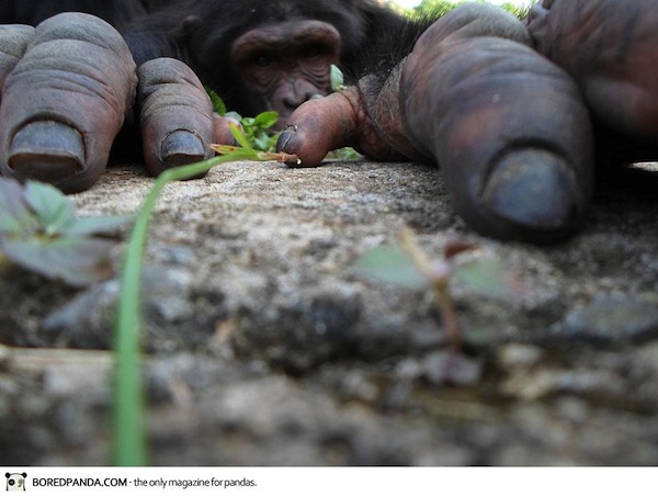 national-geographic-traveler-photo-contest-2013-19_1.jpg