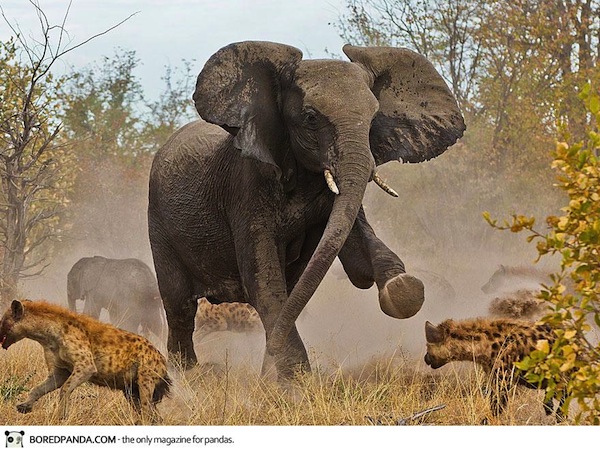 national-geographic-traveler-photo-contest-2013-21_1.jpg