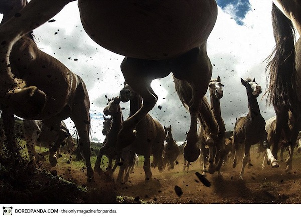 national-geographic-traveler-photo-contest-2013-3_1.jpg