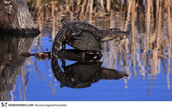 national-geographic-traveler-photo-contest-2013-9_1.jpg