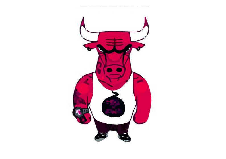 bulls_4.jpg