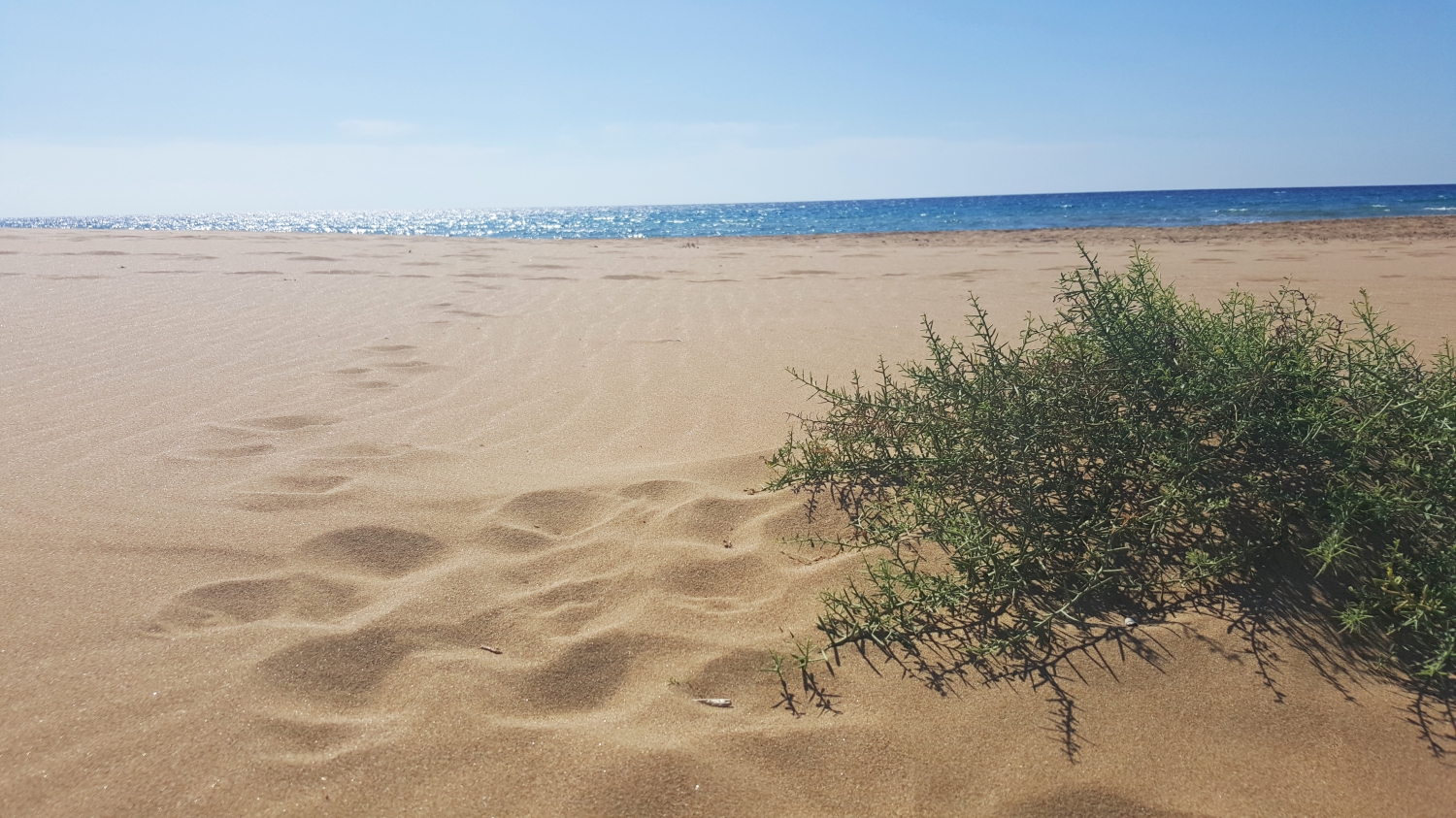 Arany homok és tengervízben szikrázó napsütés (Fotó: Fekete Szilvi)