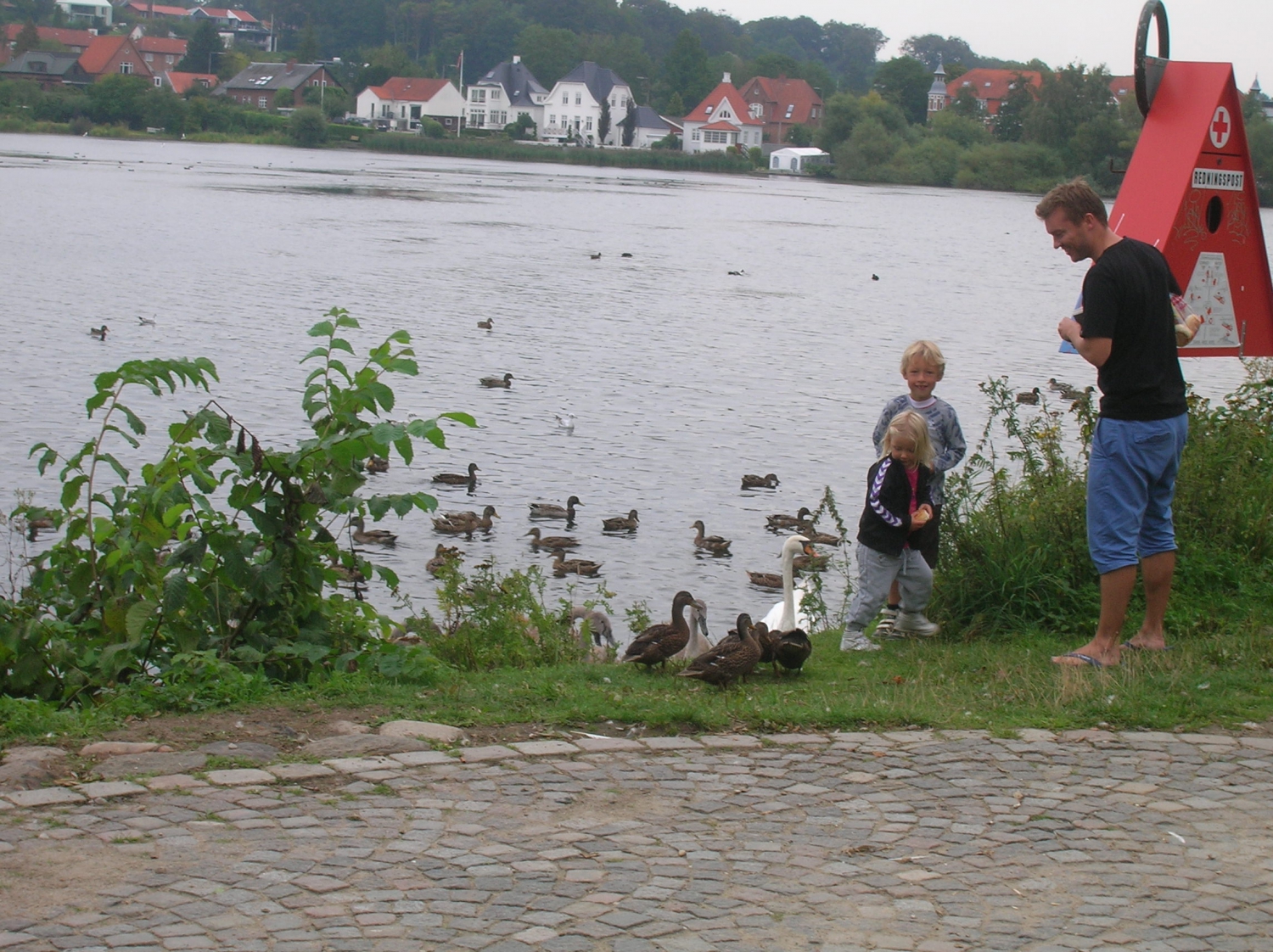 Délutáni kikapcsolódás a Koldinghus nevű vár mellett elhelyezkedő tó partján. Apuka és a gyerekek ismerkednek a kíváncsi kacsákkal. - (Fotó: Könyves Viki)