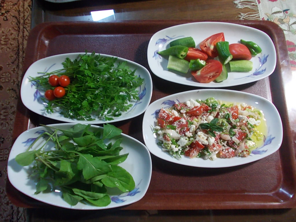 morecatsfooddickencikfethiye001.JPG