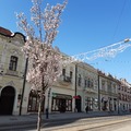 Garantált tematikus városnézés a költészet napján