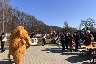 Szokatlan erdőtelepítés Miskolcon, elkészült az első Miyawaki minierdő