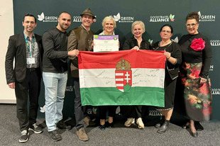 Miskolc a világ élvonalában, aranyérmes lett az Ehető Erdő - Erdei Gasztroexpressz, amit te is kipróbálhatsz!