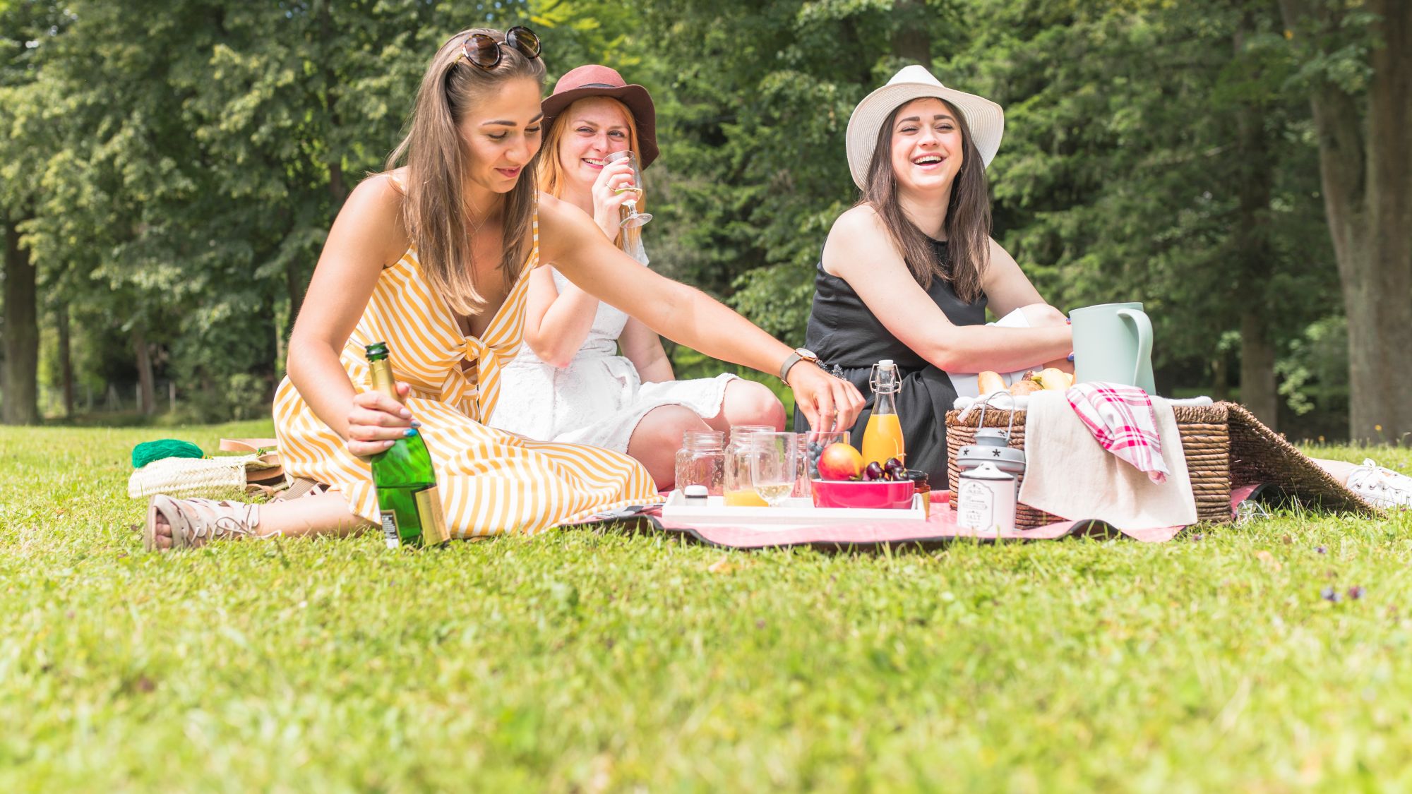 female-friends-enjoying-drinks-fruits-picnic.jpg
