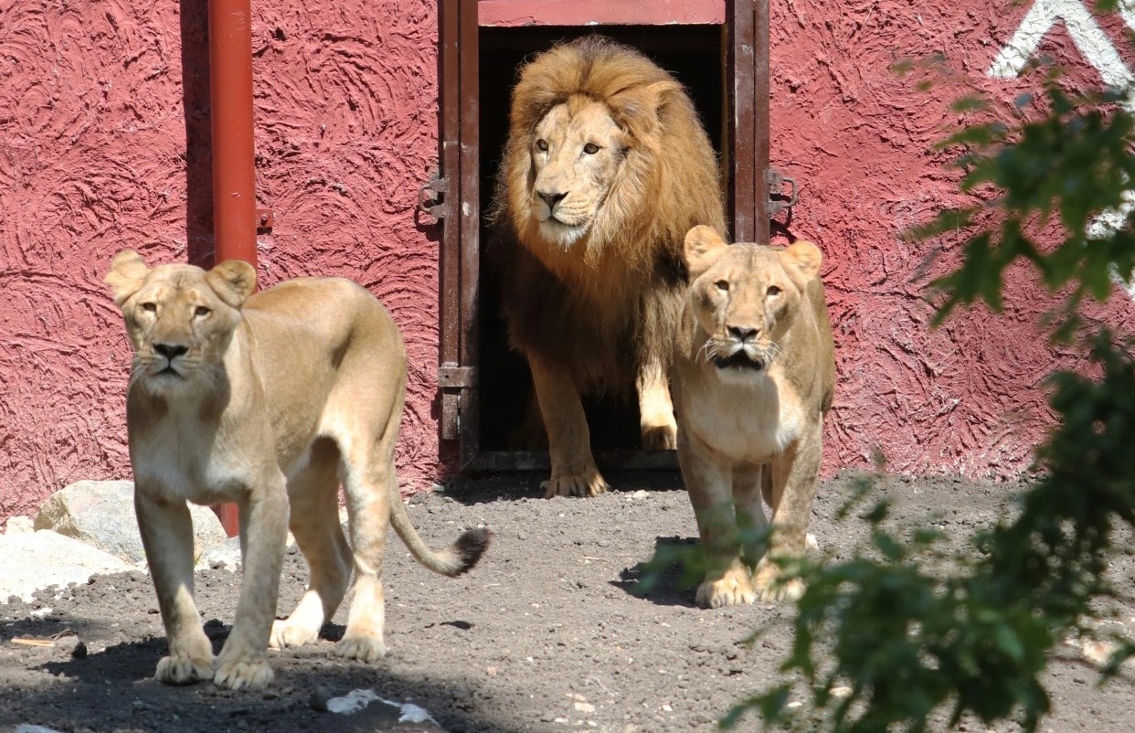 miskolc-zoo.jpg