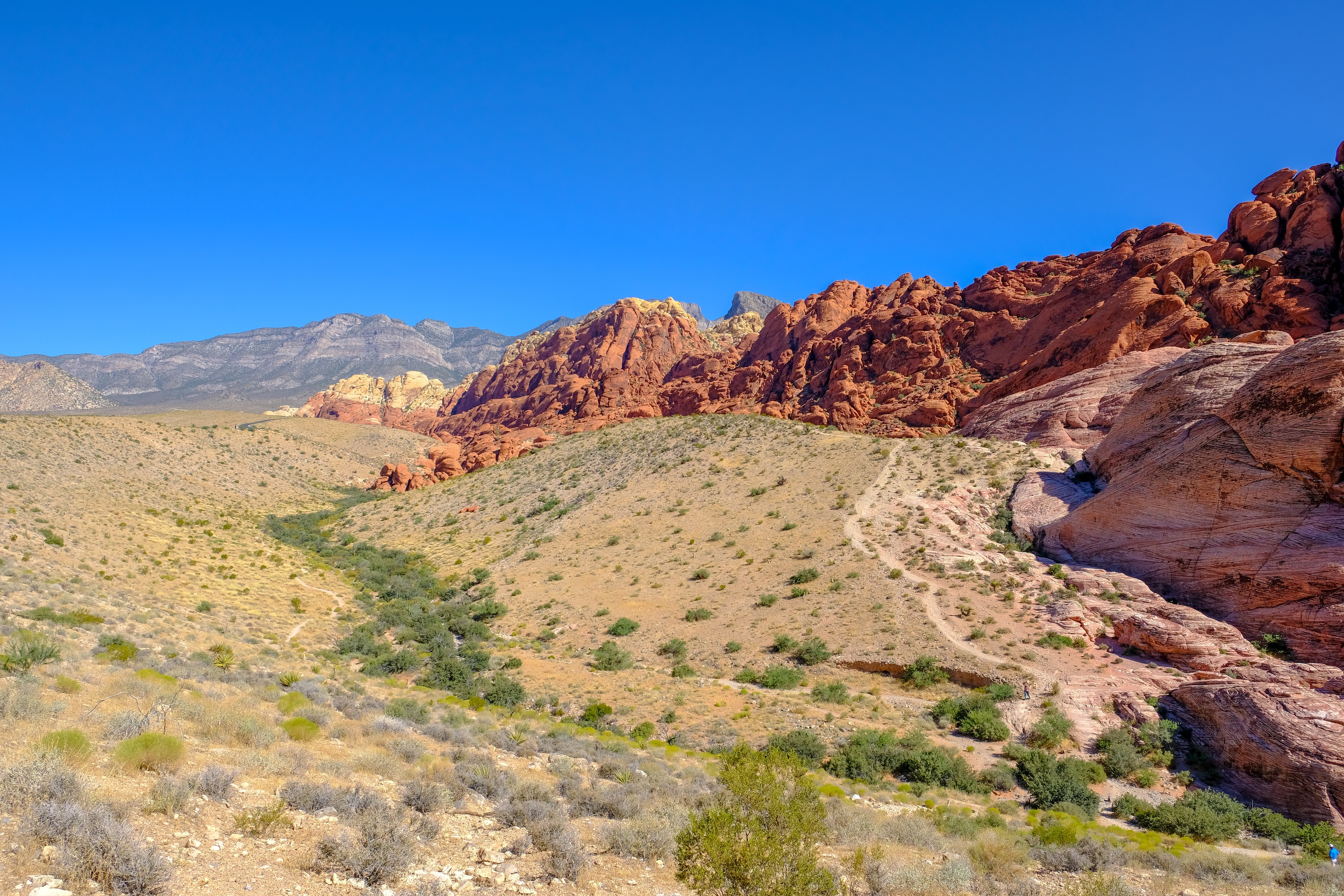 dscf2261.jpg