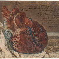 A menekülő szavai leleplezik a minisztériumot