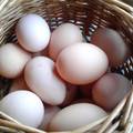 Tényleg sok 50 Ft egy házi tojásért?