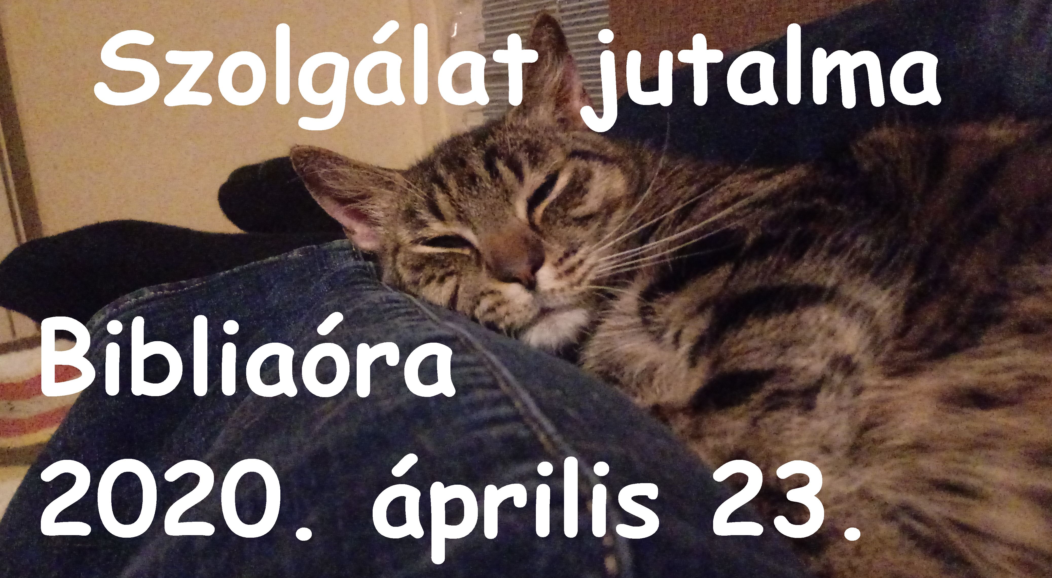 szolga_1.jpg