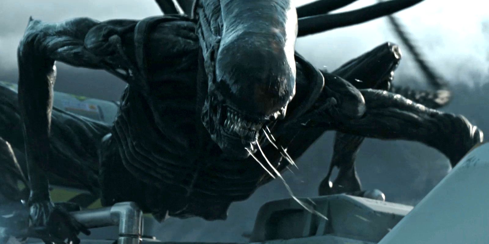 xenomorph-in-alien-covenant.jpg