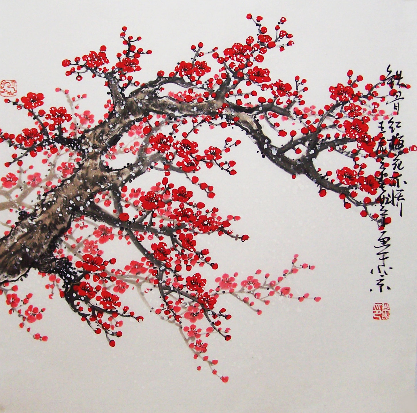 chinese-cherry-blossom-drawing-57.jpg