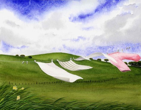 Laundry in the wind w- green hills ©Emmeline 2009.jpg